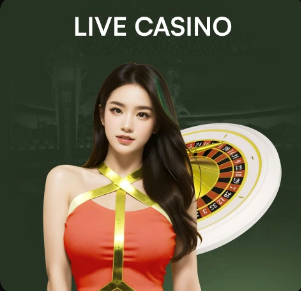 拜仁官网战药厂前瞻：6场不胜→3连胜！拜仁对阵药厂的运势已逆转